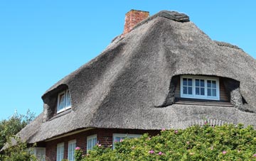thatch roofing Bishops Court, Down